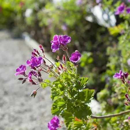 Casas Do Barrio Villa *