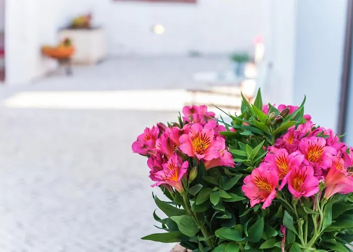 Casas Do Bárrio * Alcobaça