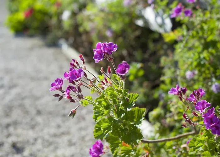Casas Do Bárrio Villa *